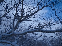 ���X��͌����邯�ǁE�E�E�B