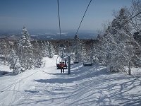 ���E���ǍD�ŉ����̎R�܂Ō����Ă����B