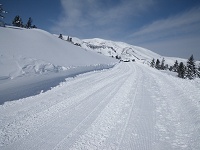 ���E���L����Ɩڂ̑O�ɑ����̔����R�������Ă����I�I