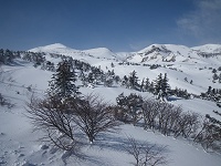 ���c�x�������Ă���I�I