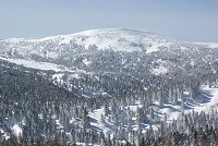 �ǂ��̎R���낤�H�@�g�h�}�c�̐X�Ɛ�i�F���Y�킾�I�I