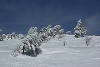 ���̂����肩����X�̂͂������ǐ����O�ɗn���Ă��܂����̂Ŏ₵�����肾�B