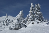 ����ȏ�Ԃ��琬�����ă����X�^�[�ɂȂ�̂��낤�ȁ`�B