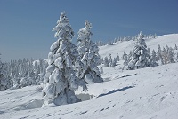 �~�j�����X�^�[������Ă����I�I