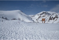 �单�V�̃o�X��t�߁B���̉��ɂ���������I�I