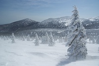 �U��Ԃ�ƉG�X�q�x�I�I�@�����ŐႪ�����I�I