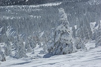 �����X�^�[�炵�����X�������I�I