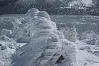 �����X�^�[���󕗂ɍ���Ă䂭�E�E�E�I�I