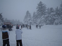 ���������Ɗό��q���~��Ă����B