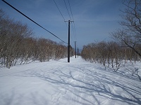 �d���̉��͕\�ʂ������Ă��ăU�N�b�Ɠ��ݔ����̂ŕ����ɂ����B