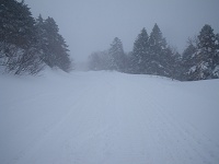 ���Ԃ̑��郋�[�g������o�����E�E�E�B