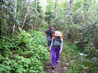 �k�΂��Ȃ���ǂ�ǂ�i�ށB