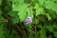 �~���}�n���V���E�Y��