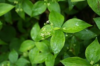 �G�]�m���c�}���O��