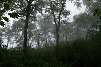 �K�X���Z����������ށB