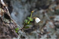 �i�K�o�m�c�K�U�N��