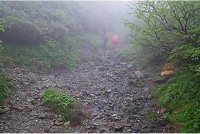 �e��͐��ꂪ����܂��B