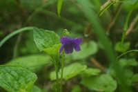 �I�I�o�^�`�c�{�X�~���B�������Z���F�����H