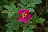 �I�I�^�J�l�o��