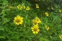 �G�]�E�T�M�M�N