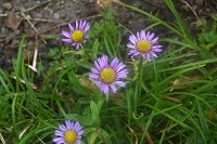 �~���}�A�Y�}�M�N