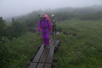 ���̂�����V���E�}�A�T�c�L�̑�Q���n�ł��B