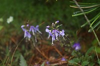 �G�]�~���}�N���K�^