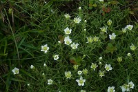 �G�]�^�J�l�c���O�T