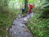 ���̓����֌W�Ȃ��ɃK���K������E�E�E�B