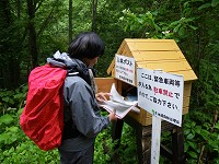 �o�R�͂��͂�������o���܂��B