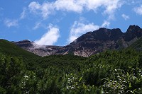 �ΎR�炵���R�e���I�I