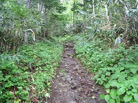 ���������Ƃ��������Ђ���������B