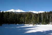 �����r�Ɣ������􂪔����������B