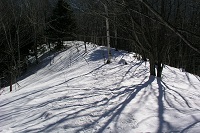 �ɂ₩�Ȕ��������̓�������B