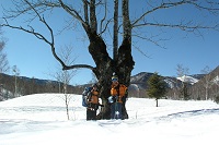 �I�j�O���~�̋��؁B