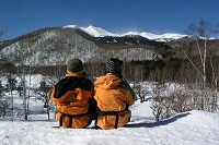 �ڂ��蒭�߂��Ɗx�͊i�ʂ��I�I