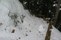 �����ᓹ������ƁE�E�E