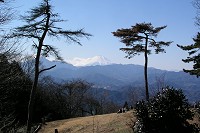 ��R����̕x�m�R�B�Ő��̎Ζʂ��猩��̂������߁I