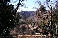 �����Ă�������U��Ԃ�Ɣޕ��ɏ�R���_�Ԍ�����B