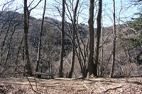 ���т𔲂���Ɩ��邢�������ɁI�@�������������Ă����B