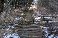 ���̊K�i��o�肫��ƒ��ゾ�I�I�@�����Ⴊ�c���Ă܂����B