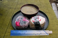 �i�M�R�̃i���R�`�͑傫�߂̃i���R�������Ղ�����Ă���B