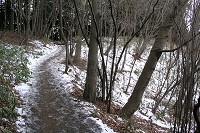 �Ƃ���ǂ���Ⴊ�X�����Ă��Ċ���₷�������Â炢�ł��B