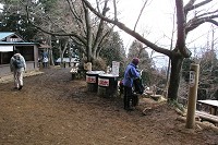 �������̓T�N���̖����ł����܂��܂��J�Ԃɂ͂قǉ������