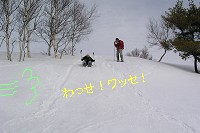 Ȃ̂ŃYYƁEEE