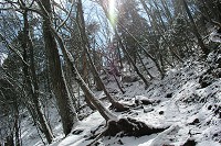 更に傾斜が増す山道。雪で滑る・・・。