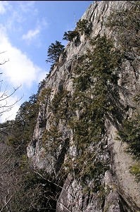 高さ３０ｍほどのつづら岩！！