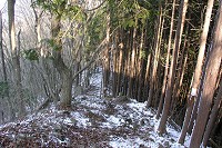 ここからの下りも急傾斜～(+_+)