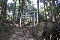 薄暗い山道途中にある光明神社跡。屋社は麓の軍道に移築。