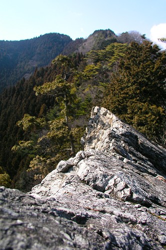 つづら岩上部の岩の峰。